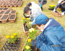 フラワーロードボランティア